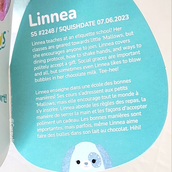 LINNEA 🐶 Teal Studded Velvet Dog Velvet Squad Original Squishmallow ☆》NWT《☆ - Picture 4 of 9